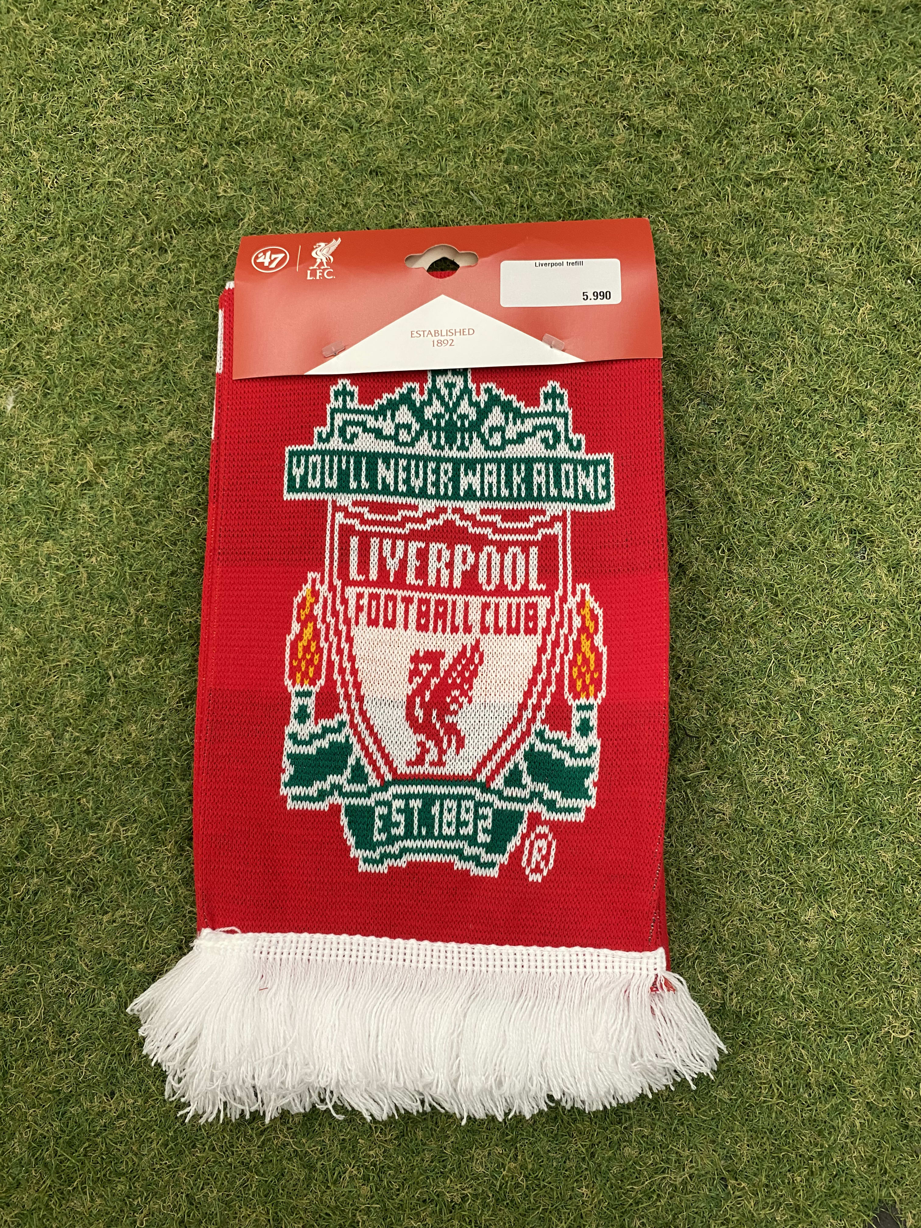 LFC Trefill 1