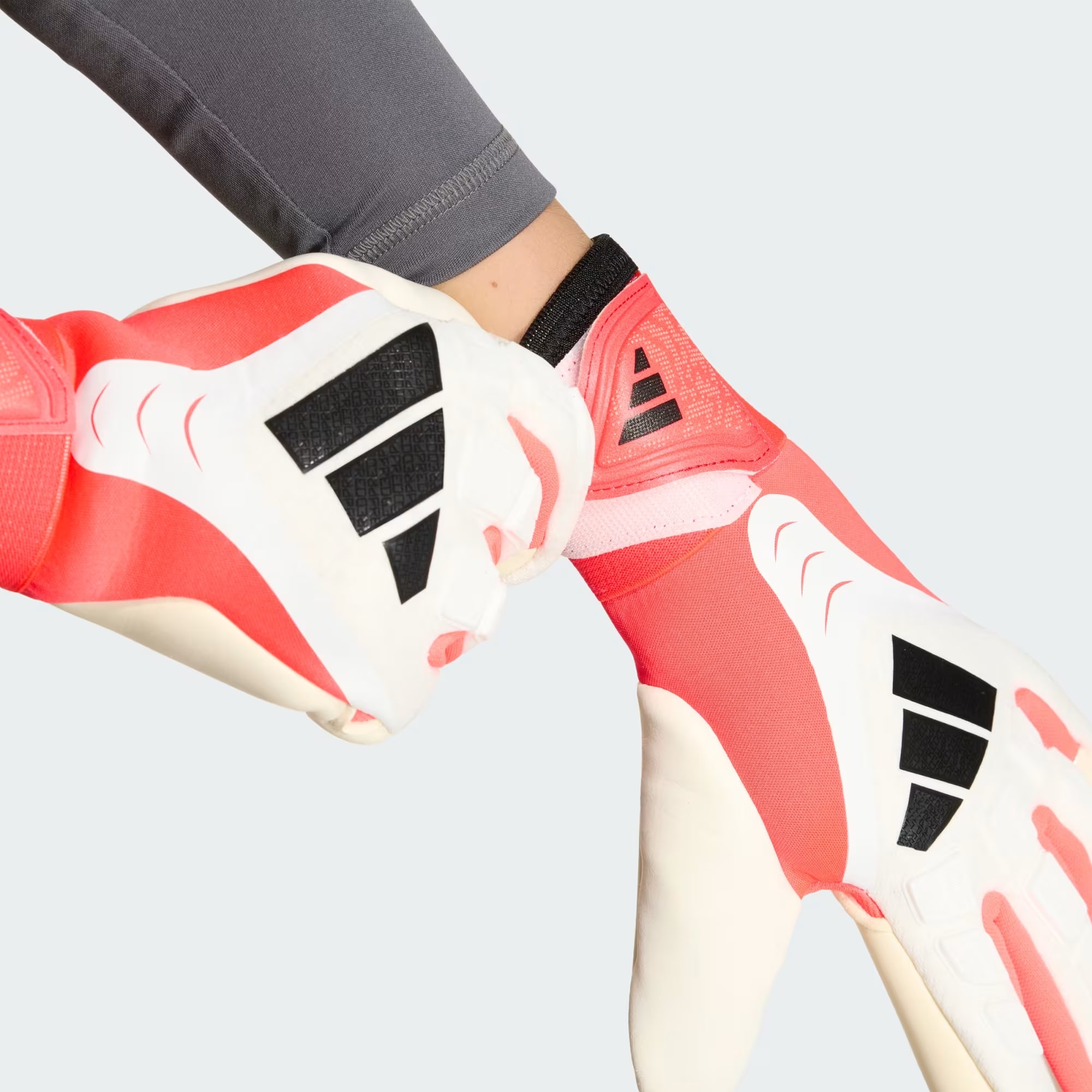 PRED GL PRO J       WHITE/LUCRED/BLACK 3