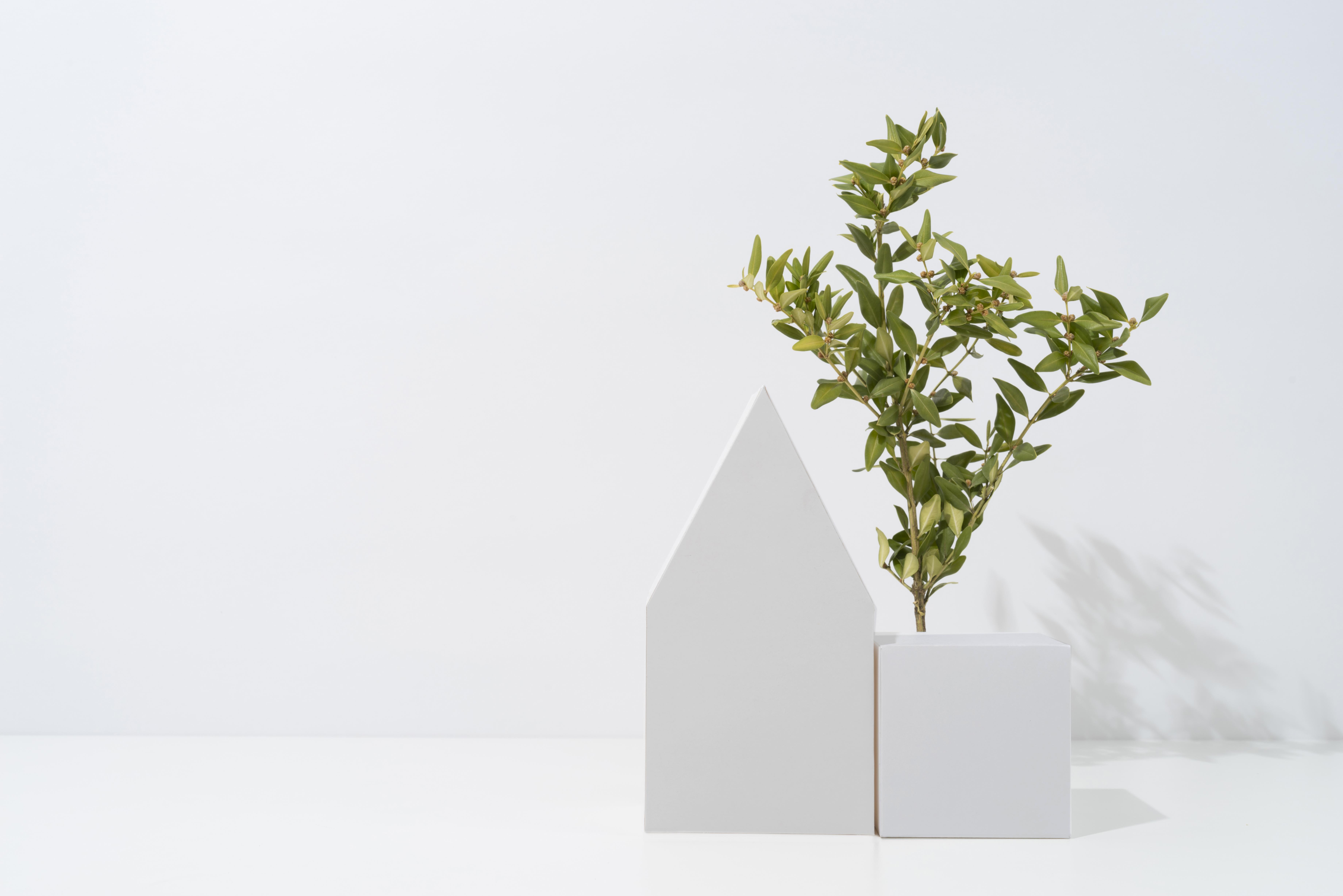 Optimizing property assets with result-driven technological practices and sustainability