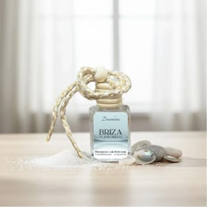 Briza