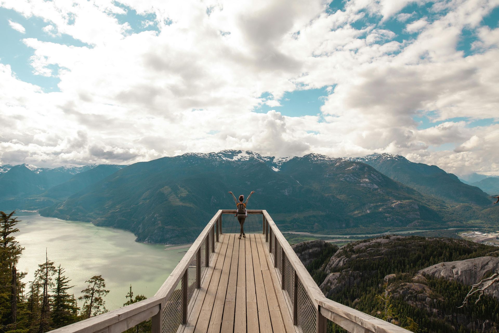 Platform or Bolt-On? The Hidden Categorization That Determines Your Sale Price