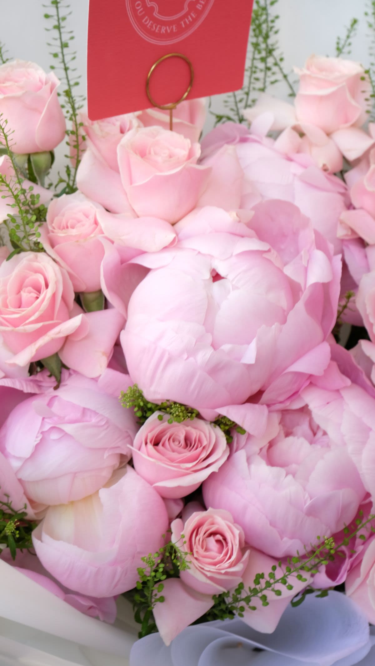 Peony Orchid Royale - Thumbnail 2 - fresh