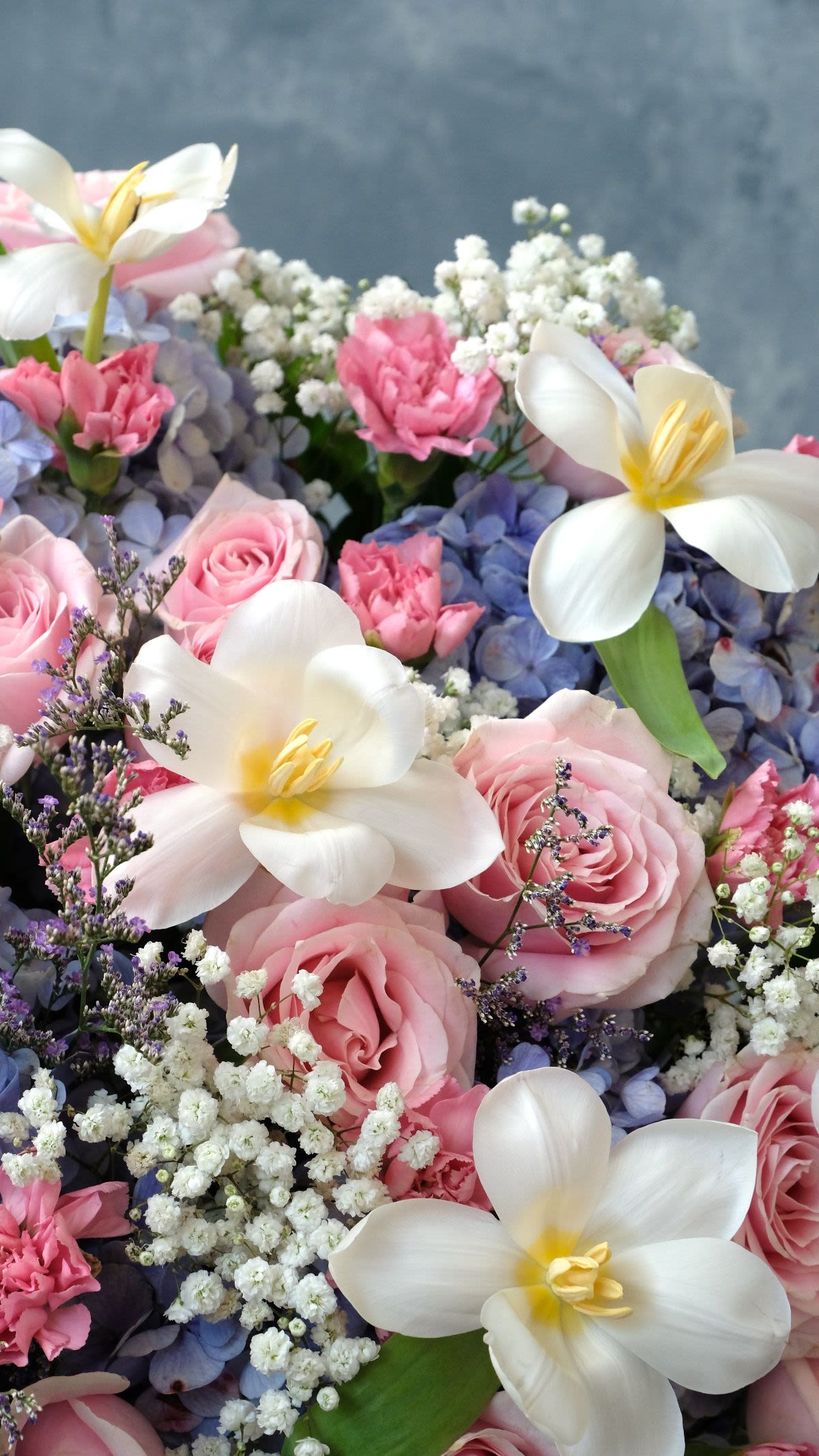 La Belle Jardin - Thumbnail 2 - fresh