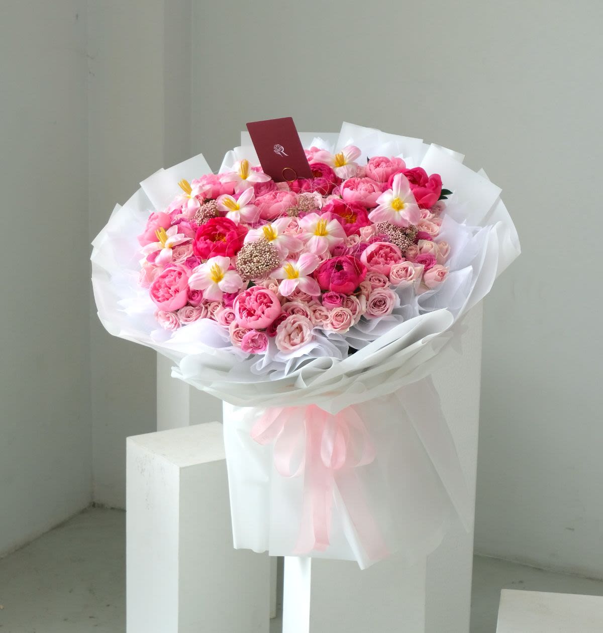 Peony Darling - Thumbnail 1 - giant