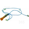 Ampoule De Signalisation Philips