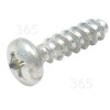 BVC Screw (PT- 4X16)