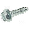 Whirlpool M 831 Screw - 4.8 X 19