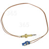 Thermocouple MiniWok Defendi 7HIP 641 S (IX)GH RU Indesit