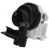 Drain Pump Assembly : BPX2-14L 30W