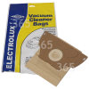 Sacs Aspirateur E44 (Paquet De 5) - BAG163 Trotter