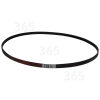 Courroie D'entraînement Poly-v De Lave-linge - 1196J5PJE - F1215 Zanussi