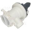 Pump Filter Beko