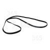 Whirlpool AWZ541 Poly-Vee Drive Belt - 1951H7