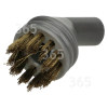 Brosse À Poils De Laiton Pour Nettoyeur Vapeur Steam Shot 2635N BISSELL