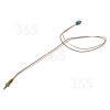 Hotpoint Thermoelement