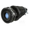 Sump Hose Bell