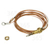 Thermocouple Pour Four Avec Connecteur : 600mm