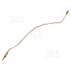Thermocouple PAN 642 IX/H Hotpoint