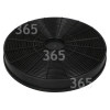 EFF54 / F233 Carbon Filter
