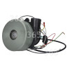 Moteur D'Aspirateur Bissell