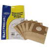 Sacs Aspirateur E51 (Paquet De 5) - BAG213 - Akira