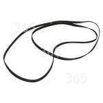 Componente approvata da 365Ricambi Cinghia Di Trasmissione Poly-Vee Dell'Asciugatrice - 1975H7