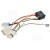 Whirlpool Faisc.De Cables