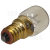 Merloni (Indesit Group) Ampoule E14 (Ses) 15W Pour Four 300&ordm;C / R&eacute;frig&eacute;rateur