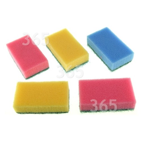 Ramon Sponge Scourers (Pack Of 5)