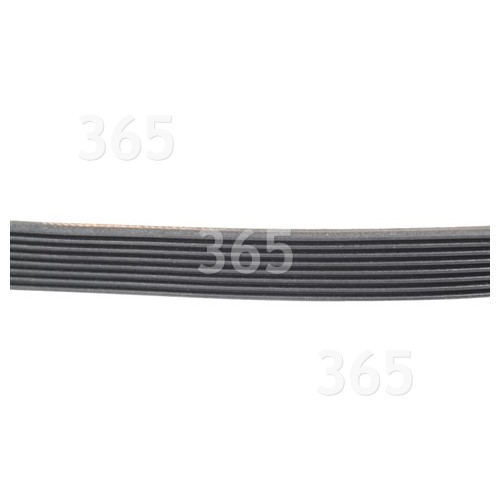 Hoover Poly-Vee Drive Belt - 1230H8EPH / 1230H8