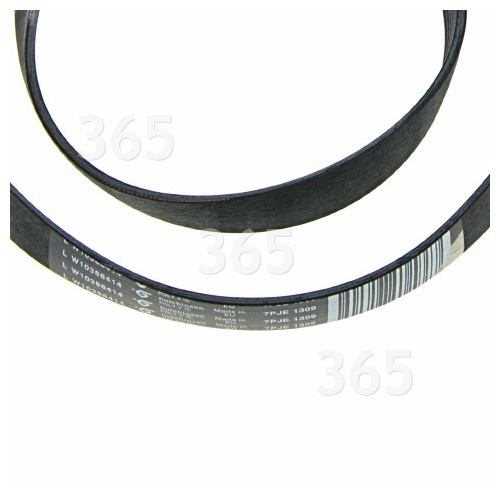 Whirlpool 075 WT/GY W10388414 Drive Belt 1301j7 Fits 8181670 8182633 ( WPW10388414 )