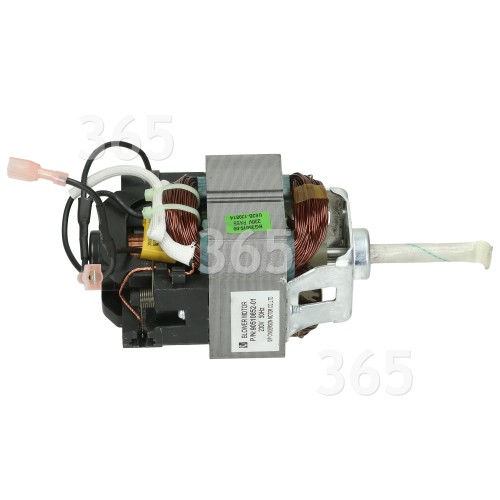 Motor De Aspiradora De Jardín GW2600 Black & Decker