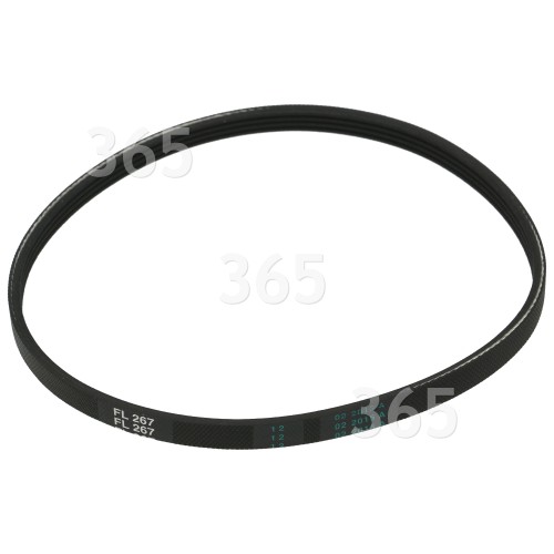 FL267 Drive Belt