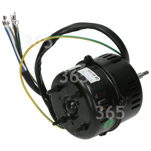 Hoover Fan Motor : Model C3 Item 90A-4B 100W AC 220/240V