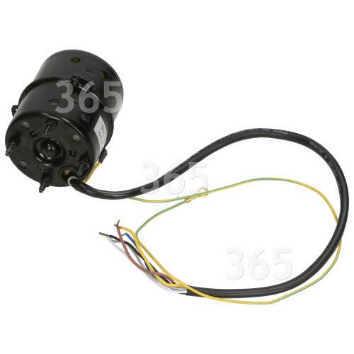 Baumatic Motor : Guangdong Atlan C13 90C-4A