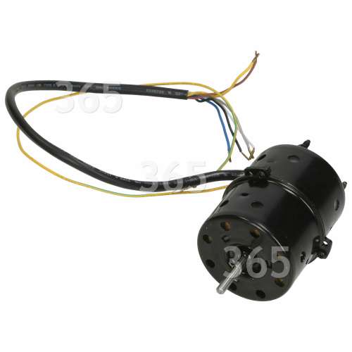 Baumatic Motor : Guangdong Atlan C13 90C-4A