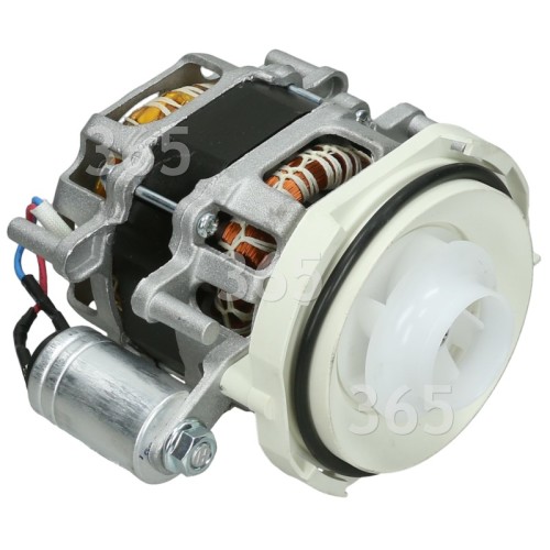 Hoover Motor Pump : Welling YXW50-2E Yxwn – 50- 2- 2