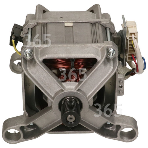 Motor : Welling HXG-138-55-52L 1000rpm