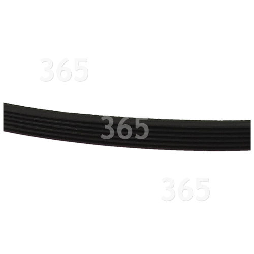 Electrolux Group Poly-Vee Drive Belt - 1975H6