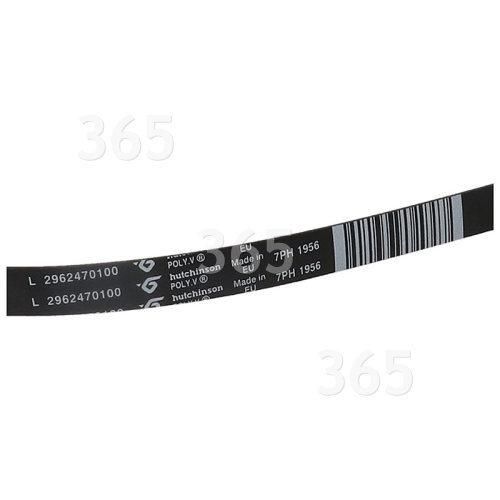 VIOKS 1930 PH 7 - Cinghia Scanalata Per Asciugatrice/lavatrice Come - Foto 8