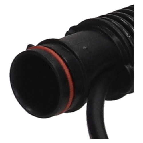 BISSELL Fleckenreiniger-Schlauch Kpl.