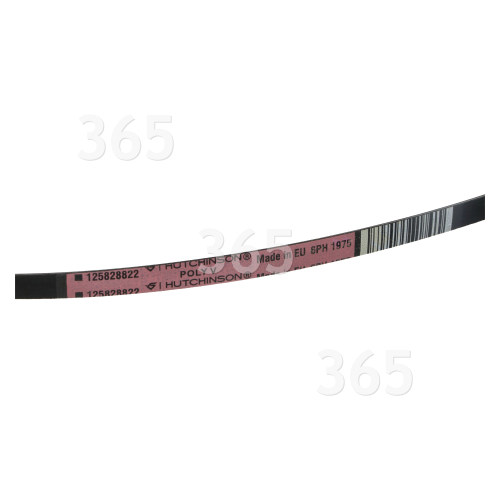 Courroie D'entraînement Poly-V 1975H6 Pour Sèche-Linge Elektro Helios