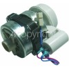 Proline PDW081S Obsolete Motor Assembly D/w PDW080 PDW081S