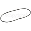 Grundig Poly-Vee Drive Belt - 1244J5PJE (1244J5)