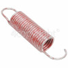 Zanker Motor Tension Spring