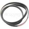 Grundig GWM3621 Poly-Vee Drive Belt - 1244J5PJE (1244J5)