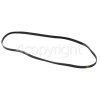 Candy ALCB106TR-04 Poly-Vee Drive Belt - 1230H8EPH / 1230H8