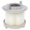 Hoover 39000461 T80 Hepa Exhaust Filter