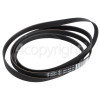 Asko Poly-Vee Drive Belt 1942H8 / 1942H8PHE Also Fits Smeg & HISENSE DHGE902 Etc.