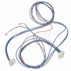 Hotpoint WF240P Harness Psw/heater